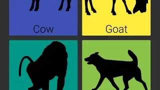 Animal Sounds screenshot