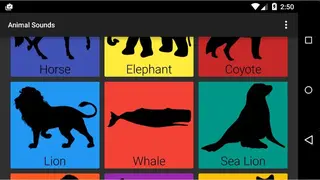Animal Sounds screenshot