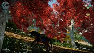 Animallica screenshot