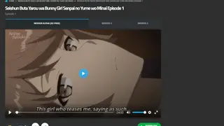 AnimeDaisuki screenshot