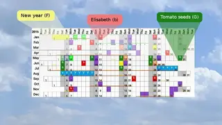 Annual View screenshot