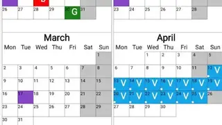 Annual View screenshot