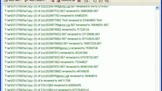 Ant Renamer screenshot