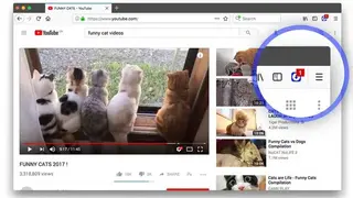 Ant Video Downloader screenshot