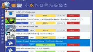 Ant Video Downloader screenshot