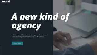 Anthill Agency screenshot