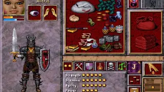 Anvil of Dawn screenshot