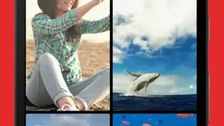 Any Video Live Wallpaper screenshot