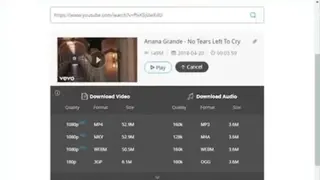 AnyMusic screenshot