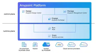 Anypoint Platform screenshot