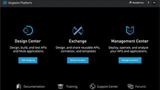 Anypoint Platform screenshot