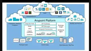 Anypoint Platform screenshot