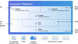 Anypoint Platform screenshot