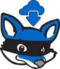 AnyStream