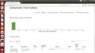 Apache Hadoop screenshot