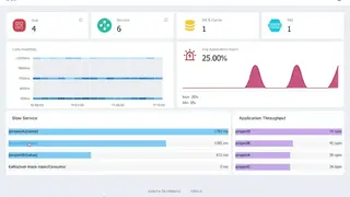 Apache SkyWalking screenshot