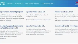 Apache Struts screenshot
