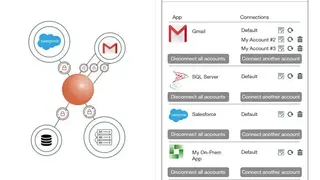APIANT screenshot