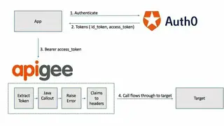 Apigee screenshot