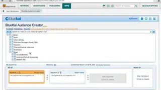 AppNexus Programmable Platform screenshot