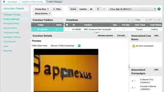 AppNexus Programmable Platform screenshot