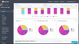 AppsFlyer screenshot