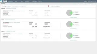 APS screenshot