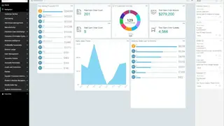 Aptean Distribution ERP screenshot