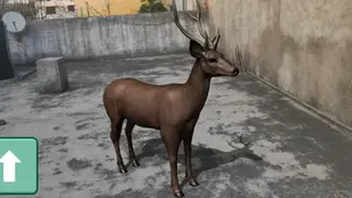 AR Real Animals screenshot