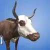 AR Real Animals