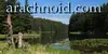 Arachnoid Interactive LaTeX Editor