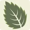ArbolApp