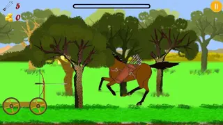 Archery bird hunter screenshot