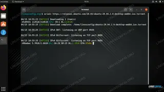 Aria2 screenshot