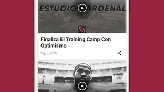 Arizona Cardinals Mobile screenshot