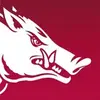Arkansas Razorbacks Gameday