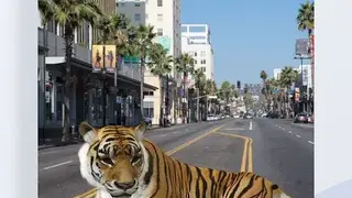 ARLOOPA screenshot