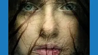 Artful Photo Blend screenshot