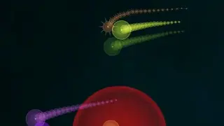 Artificial life screenshot