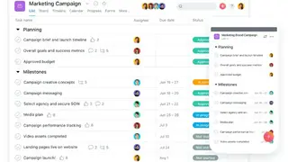 Asana screenshot