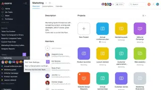 Asana screenshot