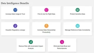 ASG Data Intelligence screenshot