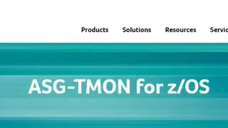 ASG TMON screenshot