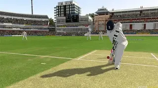 Ashes Cricket 2013 screenshot