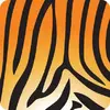 AssetTiger