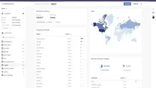 Ataccama screenshot