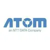 Atom Paynetz