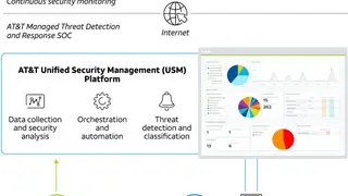 AT&T Managed Vulnerability Program screenshot