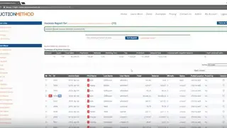 AuctionMethod screenshot
