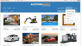 AuctionWorx Enterprise screenshot